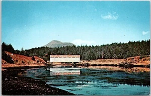Afognak Island Covered Bridge Alaska Postcard Unposted - Picture 1 of 2