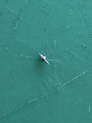 Kasper  Caliber 1200   Balance Staff  New Unused Stock Free Postage. - Image 1 of 2