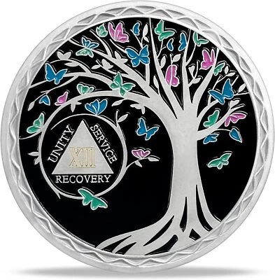 13 Year Sobriety Coin Medallion Alcoholics Anonymous Thirteenth Anniversary Gift - Image 1 of 4