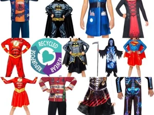 Amscan Sustainable Costumes Fancy Dress - DC, Halloween - Picture 1 of 16