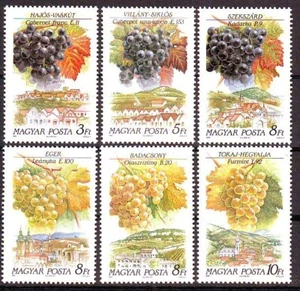 HUNGRÍA - 1990. Uvas y regiones de vino - MNH - Imagen 1 de 1