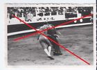 Photo corrida K 1950's tauromachie cheval arène matador toreador taureau