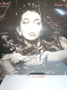 Kate Bush Hounds of Love 10-Inch Vinyl LP RSD Collector’s Edition Unopened - Picture 1 of 8