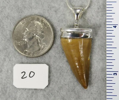 Dinosaur MOSASAURUS TOOTH PENDANT $79 Sterling Silver Jewelry STARBORN CREATIONS - Image 1 of 4