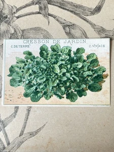 Etiquette Chromo Légume ancien Vilmorin cresson de jardin Horticulture Catalogue - Picture 1 of 1
