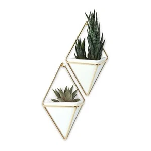 Umbra Trigg Wall Display Small Pair / Single Large Organiser / Plant Pot - Picture 1 of 30