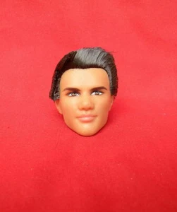Barbie Crepúsculo Saga JACOB MUÑECA CABEZA SOLO para ÚNICA O REPINTAR ¡SIN CUERPO! - Imagen 1 de 7