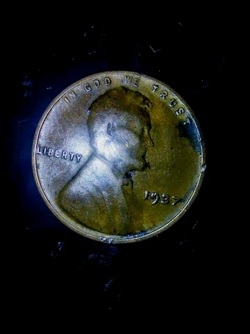 1937 Lincoln Wheat Penny no mint mark Cover