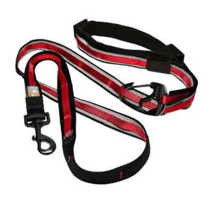 Kurgo 6-In-1 Quantum Dog Leash Hands Free Adjustable Reflective RED/BLACK - Picture 1 of 3