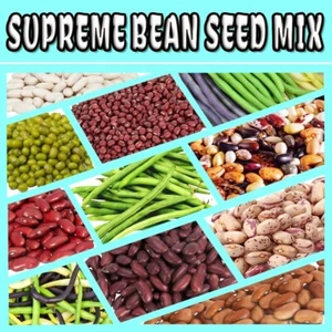 30 x BEAN SEEDS-HEIRLOOM MIX-10 x VARIETIES-LEGUME-GARDEN VEGETABLE PLANTS - Picture 1 of 19