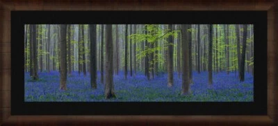 Marco de ceniza oscura Peter Lik edición limitada galardonado Fascination 197/950 2 m  Foto 1 de 3