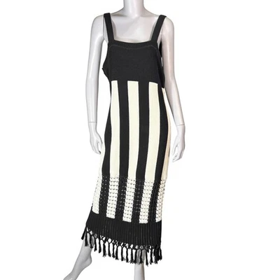 &Other Stories Knit Midi Dress Womens L Crochet Tassel Stripes French Minimalist - Image 1 of 4