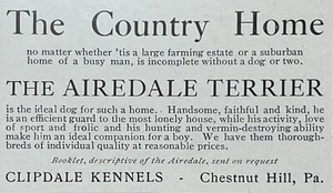 Anuncio impreso antiguo para perro Airedale Terrier 1903 Clipdale Kennels Chestnut Hill PA - Imagen 1 de 1