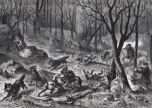 Wolf Hunt Vosgos Montañas Francia, Grande 1870 Antiguo Grabado Impresión y Artículo - Imagen 1 de 8