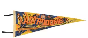 The Astrodome Houston Texas Rodeo Football Baseball Track Basketball Pennant - Picture 1 of 12
