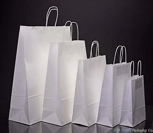 White Paper Bags Twist Handle Party and Gift Carrier / Paper Bags With Handles - Picture 1 of 7