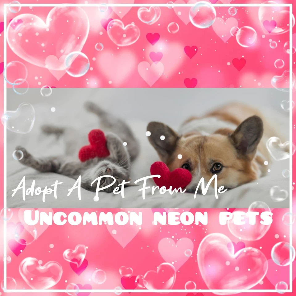🌺 ADOPT (All Stuff FRM M3) Today! 🌸 🌟Uncommon🌟 🖤 M3gas & N3ons 🌺