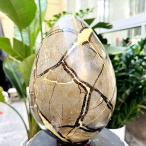 20.7LB Natural Turtle Back Stone Egg Shape Dragon Crystal Crack Mineral specimen - Picture 1 of 19