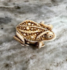 Netsuke Toad Frog Small Trinket Box Vintage Japanese