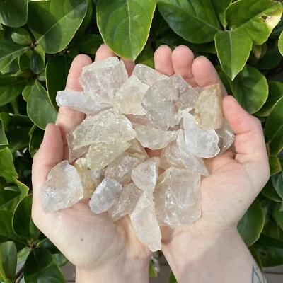 "CLEAR QUARTZ CRYSTALS" - Natural Raw Rough Gemstones - 500 Grams Bulk Lot - image 1 of 4