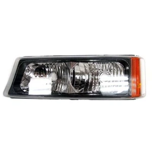 OEM NEW Day Time Parking Light Lamp Left Driver 03-07 GM Truck & SUV 15199556 - Picture 1 of 6