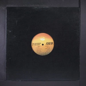 YOSSI BIRNBAUM: the blessing of the sun P.E.E.R. 12" LP 33 RPM - Picture 1 of 2