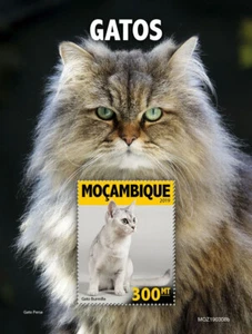 Cats Stamps Mozambique 2019 MNH Burmilla Persian Cat Domestic Animals 1v S/S - Picture 1 of 1
