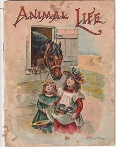 Vertraute Tiere, Tierleben Kinderbücher, Vintage 1904 Mc Loughlin Bros. - Bild 1 von 5