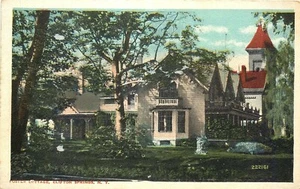 FOSTER COTTAGE, CLIFTON SPRINGS, NUEVA YORK, POSTAL VINTAGE - Imagen 1 de 2