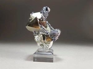 Spinel Twin Galena Crystals on Octahedral Pyrite Crystal Cluster - Imagen 1 de 8