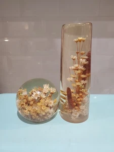 Vintage Gänseblümchen Glas Plexiglas Briefbeschwerer Trockenblumen Set Stiel und Kugelform - Bild 1 von 4