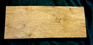 SPALTED MAPLE BLANK TURNING ART CRAFTING WOODWORKING APPROX 18x7.5x2 IN - Picture 1 of 3
