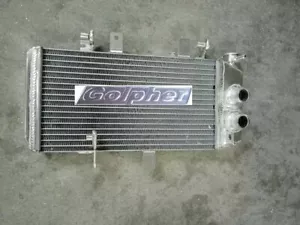 BMW 700GS F800S F800ST F650GS F800R RADIATOR, READ DESCRIPTION - Picture 1 of 1
