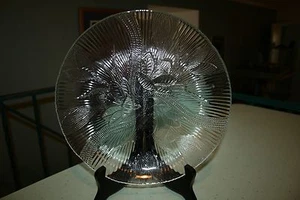 Arcoroc Canterbury Crocus Clear Glass 10" Dinner Plate  - Picture 1 of 2