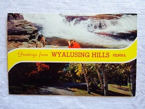 VINTAGE UNBENUTZTE POSTKARTE / WYALUSING Hills PA 3 1/2" mal 5 1/2" - Bild 1 von 2