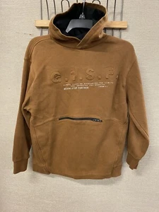 ZARA & Levi's, Boys Hoodie Sweatshirt Lot of 4, Size 11-14 - Picture 1 of 8