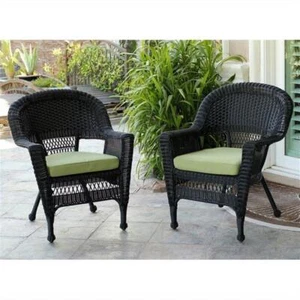 Jeco Wicker Chair in Black with Green Cushion (Set of 2) - Picture 1 of 1