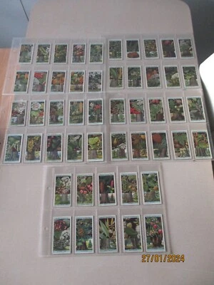 WD & HO Wills Flowering Trees & Shrubs 1924 Full Set 50 cards in plastic sleeves - Image 1 of 4
