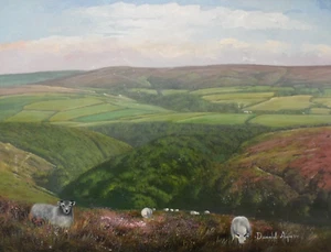 Donald Ayres - Original Oil Painting - Shillett Wood from Porlock Common. Exmoor - Picture 1 of 10