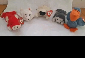 Five TY Teeny Beanie Babies Seamore Snort Chups Nook+Scoop 5"-6.5" Etiquetas/Sin etiquetas - Imagen 1 de 12