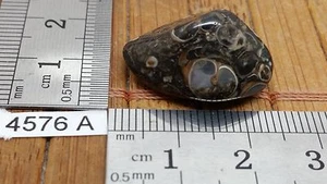 AGATE TURITELLE pierre roulée mineraux lithotherapie collection esoterisme reiki - Picture 1 of 2