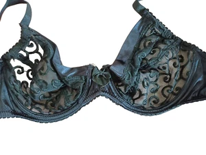 Sujetador Ethel Austin 8373 Negro Con Aros Sexy Transparente Bordado Reino Unido 34C - Imagen 1 de 3