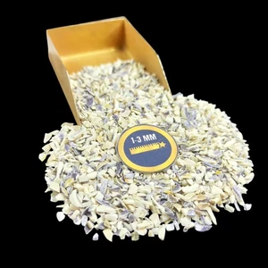 Piedra preciosa Cowrie Shell triturada gruesa 1-3 mm para incrustación de madera - Imagen 1 de 4