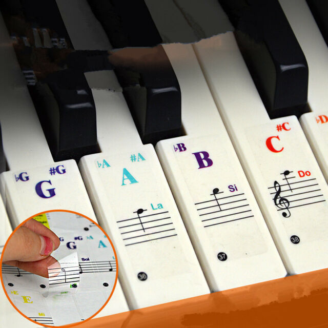 Adesivos De Musica Para Teclado De Piano, Adesivos Coloridos Removíveis  Para 37/ 49/ 61/ 88 Teclas Para Prática De Piano Infantil - AliExpress