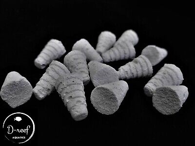 Frag Plugs Cone Shape Ideal For Zoas Coral Frags Frag Rack Soft Corals Lps Sps  • 11€