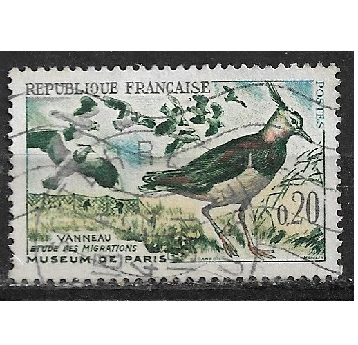 -Timbres YT 1273 MI 1332 Vanneaux Oiseaux faune 1960 - Photo 1/1