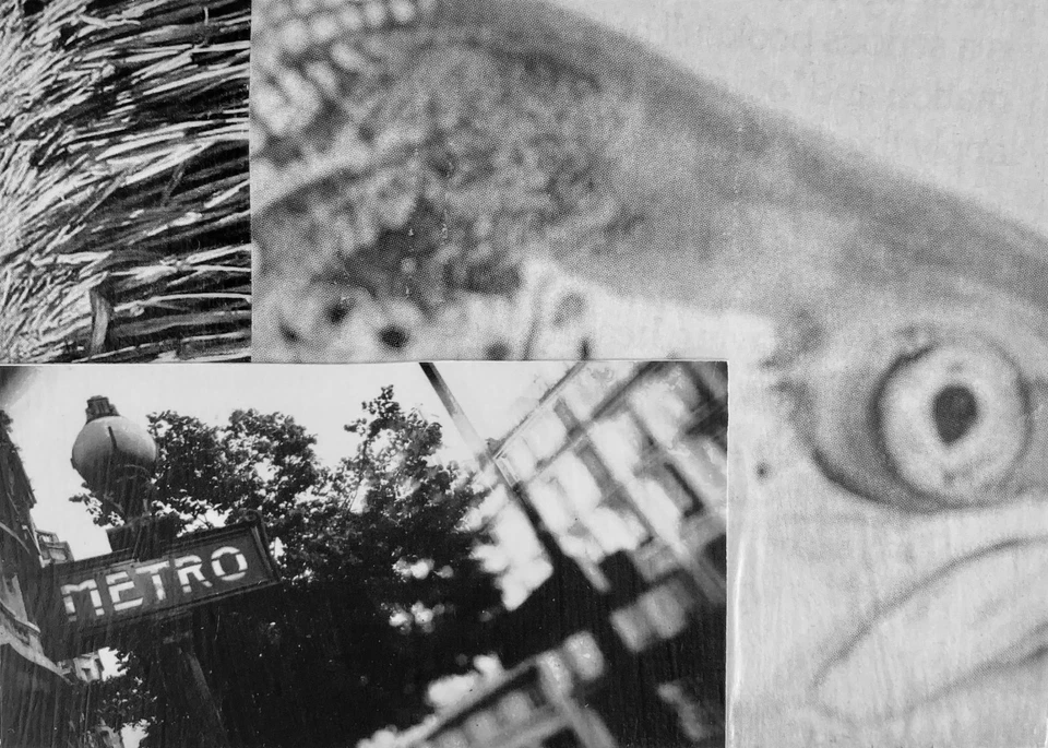 Revista ACEO Original/Único Vintage Blanco y Negro Fotos Acabado Mate "Ojo de Pez" Foto 1 de 1