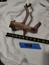 #402, Manzanita, Reptile, Perch, Branch, Natural, Driftwood, Habitat, Decor,