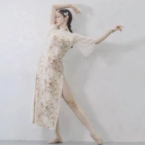 Lady Floral Cheongsam Dance Dress Side Slit Tulle Splice Stretch Qipao Dancewear - Picture 1 of 12
