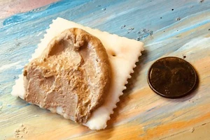 Faux Fake Food  Peanut Butter Saltine Cracker 3D MAGNET Display Movie Prop PBSC6 - Picture 1 of 2